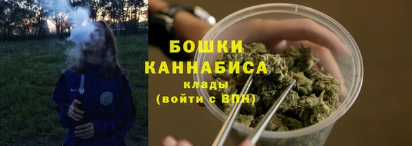 apvp Дмитровск