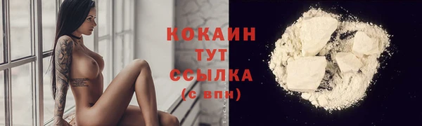 соль курить ск Ельня