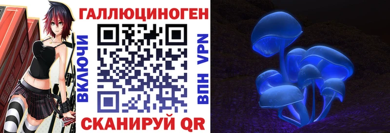 ссылка на мегу ONION  Новосокольники  Галлюциногенные грибы мухоморы  хочу наркоту 